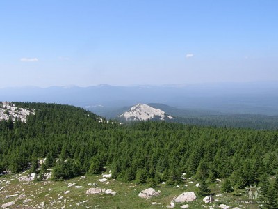 зюр.jpg