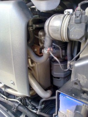 25032012221.jpg
