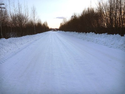 P1010008.jpg