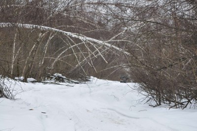 DSC_0217_thumb.jpg