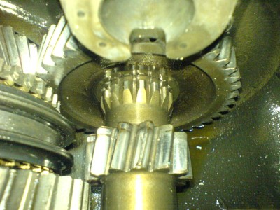 dsc02018.jpg