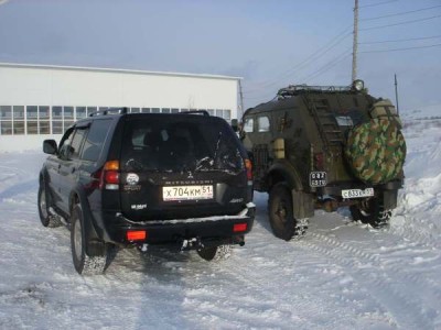 Монтерик сзади с газоном.jpg