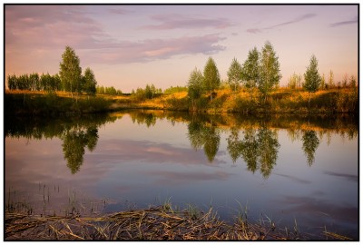 4030199_large.jpg