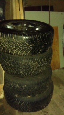 IMAG0099.jpg