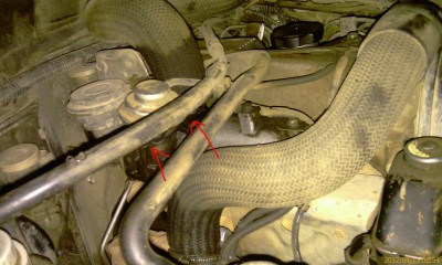 IMAG0117.jpg