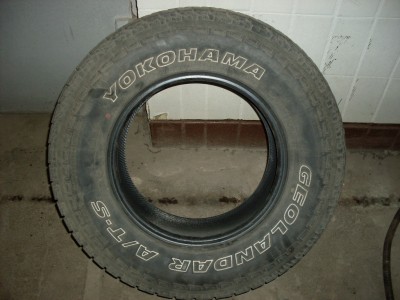 SDC10783.JPG