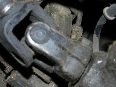 DSCN1217.jpg