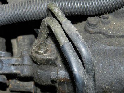 DSCN1214.jpg