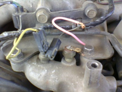 IMG0020A.jpg
