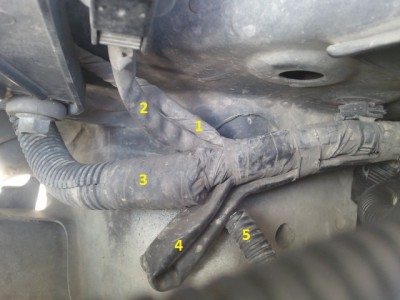 20120417_105612.jpg