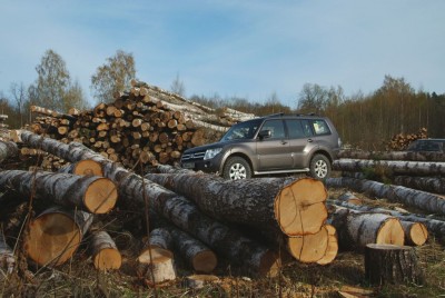 logs.jpg