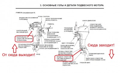 555.jpg