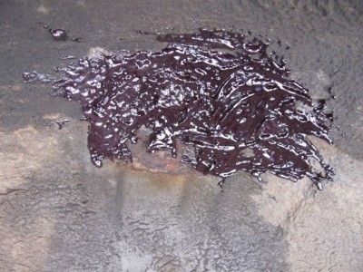 b09.jpg