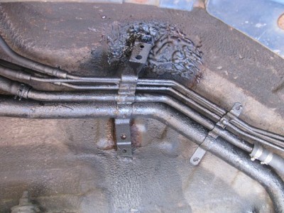 b11.jpg
