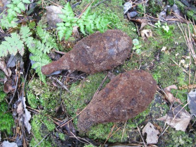 IMG_7338_thumb.jpg