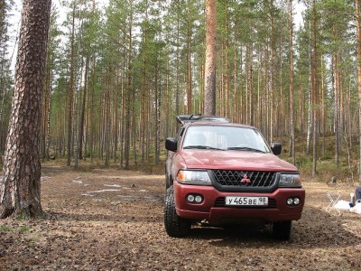 Моя лошадка=)