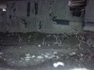 IMG00035.jpg