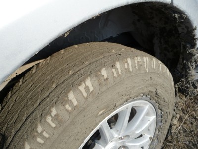 P1030917.JPG (1.24 МБ) 3734 просмотра P1030917.JPG