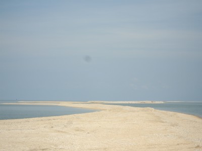 IMGP1943.JPG