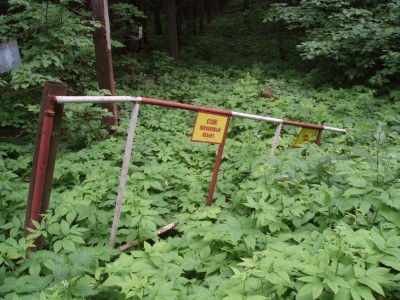 P6020115.JPG