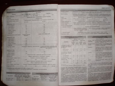 P6050130.JPG