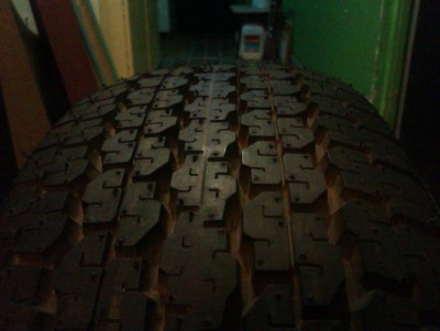 IMAG0079.jpg