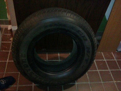 IMAG0085.jpg
