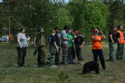 ПТФ 2012, Луга 050.JPG