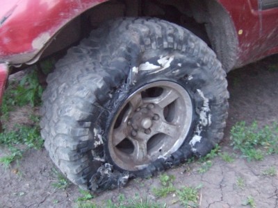 DSCF1418_l.jpg