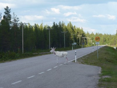 P1080969.JPG