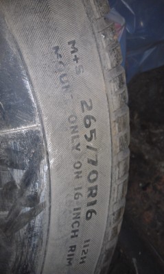 IMAG0110.jpg