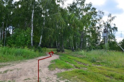 Упираемся в лес! Едем прямо. С правой стороны будут частные огороды.