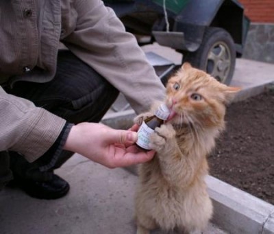 201207111532264ffd9c8a4446c.jpg