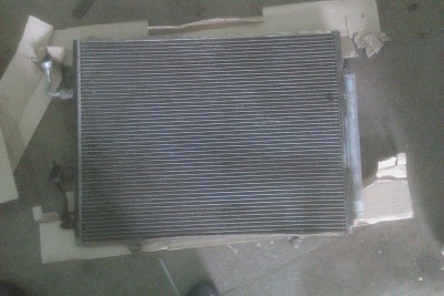 IMAG0988.jpg