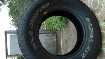 SAM_3383.JPG