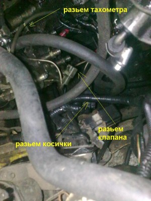 коса.jpg