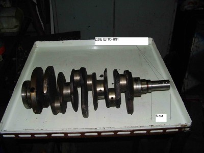 P8170016-4.jpg