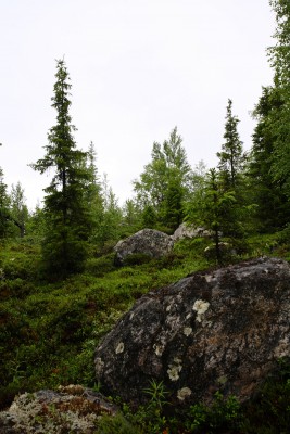 Ловозерские пейзажи.