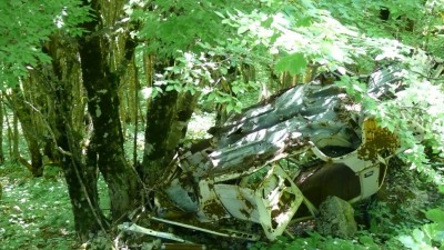 В Абхазии встречаются и такие авто