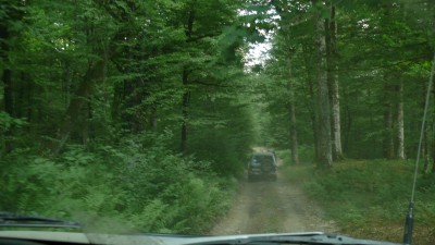 Дорога проходила через горный лес.