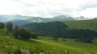 Альпийские луга по пути.