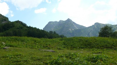 P1010824_resize.JPG