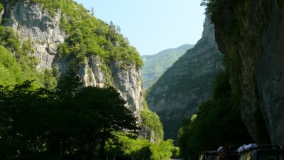 P1010742_resize.JPG