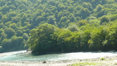 P1010728_resize.JPG