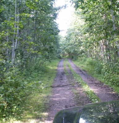дорога.JPG