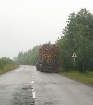 Лесосоз.JPG