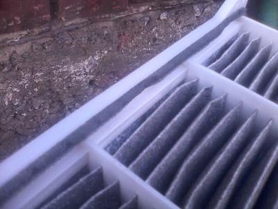 IMG_20120809_181156.jpg
