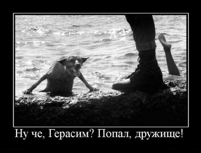 demotivator087.jpg
