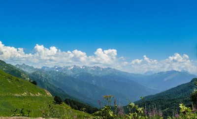 P1010944_resize.jpg