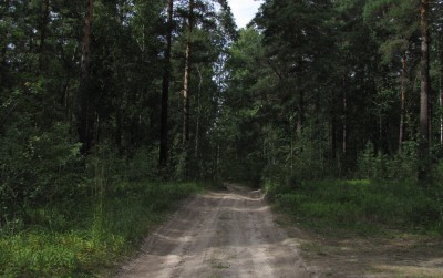 08000.jpg